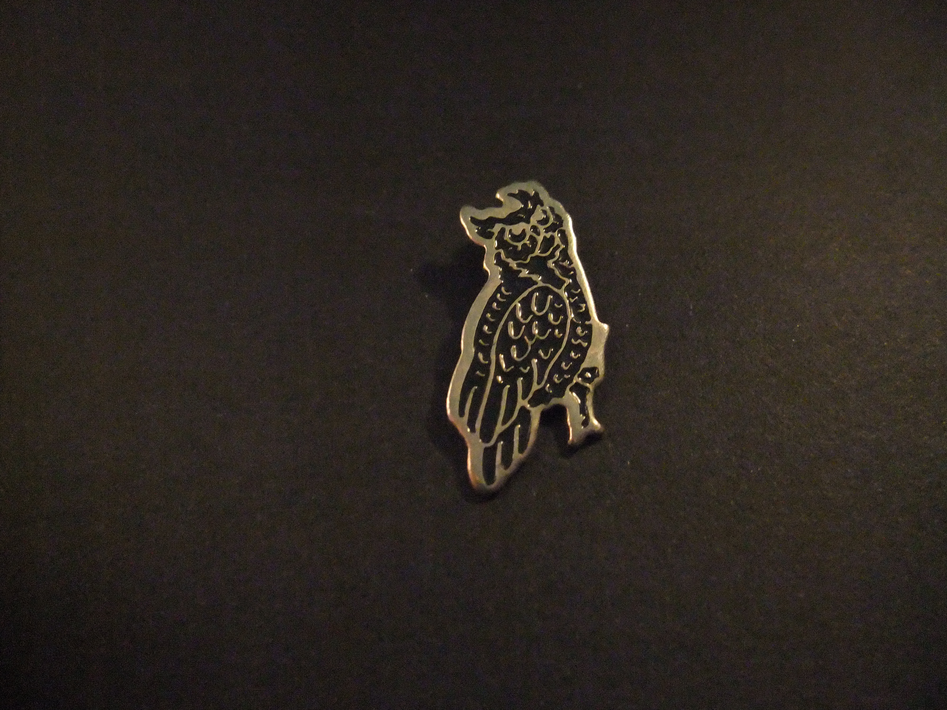 Uil ,nachtdier ,roofvogel ( zwart)